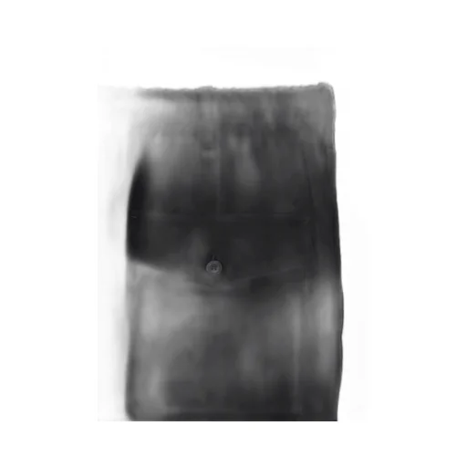 Ta Tuxedo Wide Pants