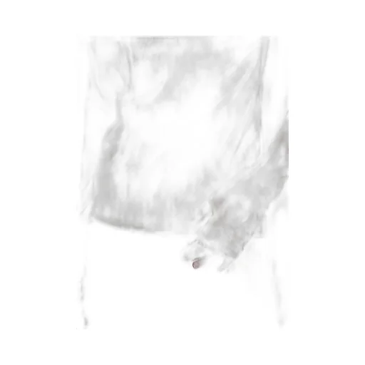 Pe Tulle Cutting Detail Tight Tee