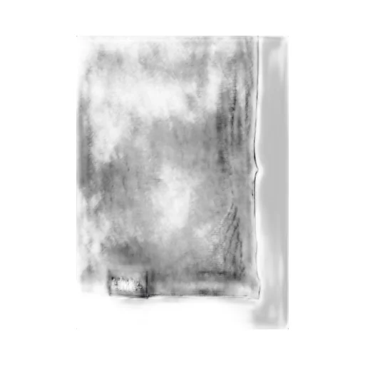 Pe Tulle Long T-Shirt