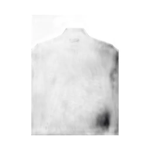 Pe Tulle Long T-Shirt