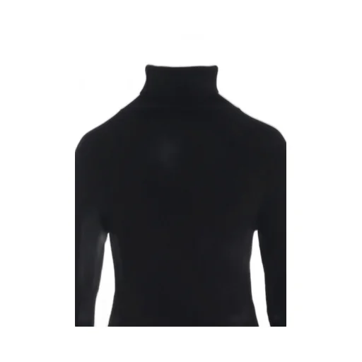 Standard W/Washable Plain Stitch Long Turtle Knitwear
