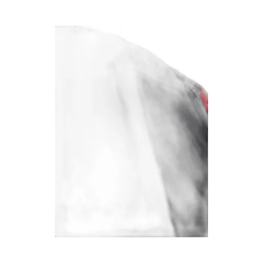 S'yte X Taion Reversible Long Bomber Jacket With Red Printed Fleece Lining