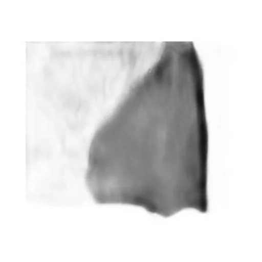 S'yte X Taion Reversible Quilted Down Scarf With Black Fleece Lining
