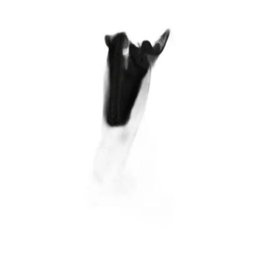 Crepe De Chine Shirring Pockets Shirt