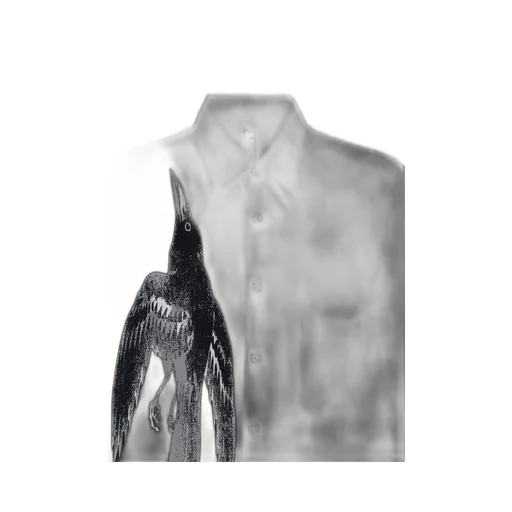 Graphic Shirt “Crow”
