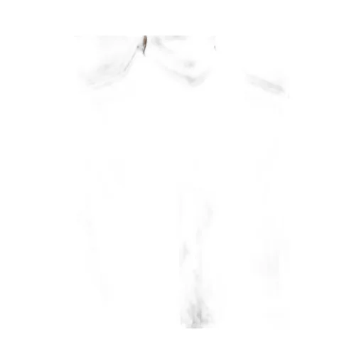 [Y's Born Product] Thin Cotton Twill Double Front Big Blouse