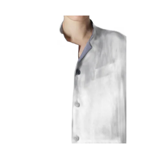 Crepe De Chine Half Sleeve Box Shirt Dress