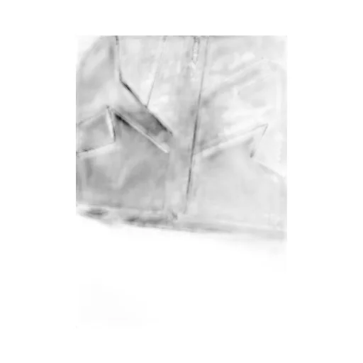 Wildside X Goopimade The-9 Technical Parka