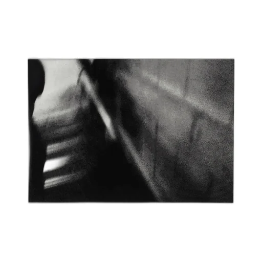 Daido Moriyama Farewell Photography