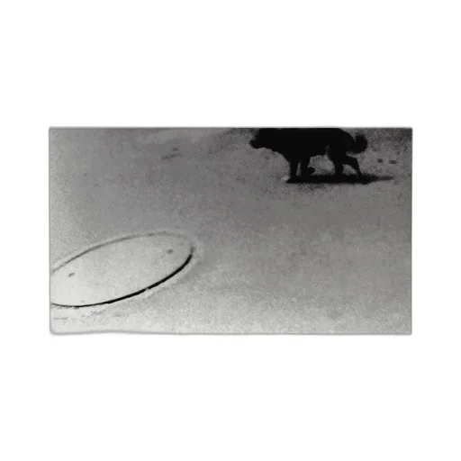 Daido Moriyama Farewell Photography