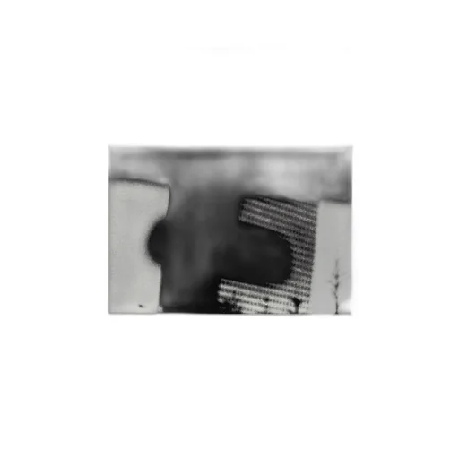 Daido Moriyama Farewell Photography