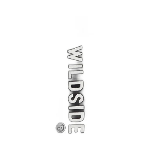 Wildside × Suzume Uchida Rayon Shirt