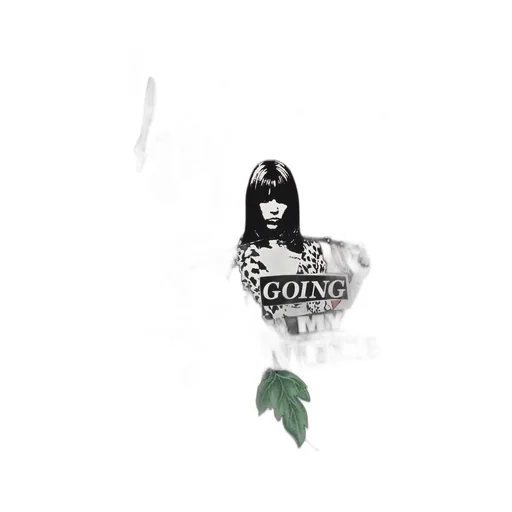 Wildside × Hysteric Glamour Peony Punk Hoodie