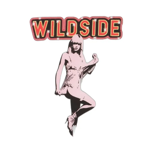 Wildside × Hysteric Glamour ”Goodnight Ladies” T-Shirt