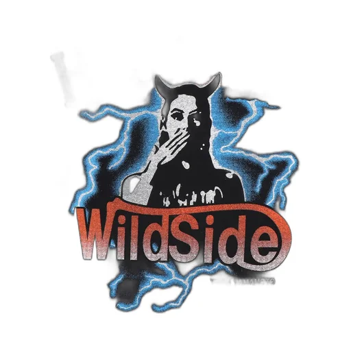 Wildside × Hysteric Glamour T-Shirt Speak No Evil