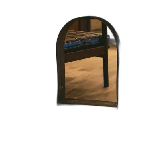 Wildside × Landscape Products Marmoleum Series 2Way Mirror