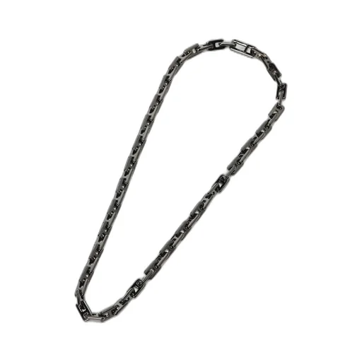 Wildside × Ambush A Chain Short Necklace