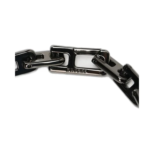 Wildside × Ambush A Chain Short Necklace
