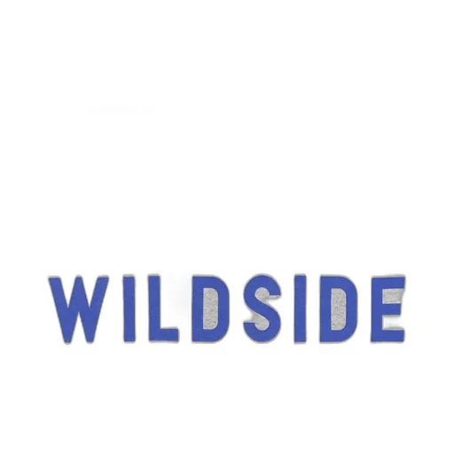 Wildside × Wind And Sea Reverse Logo Hoodie