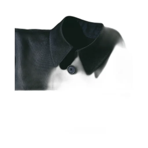 Cotton Chino China Jacket