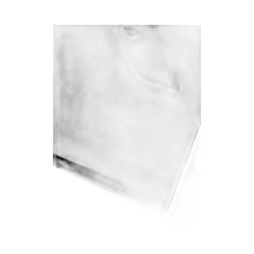 T/C Skull Swingtop