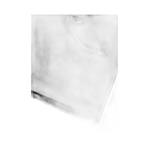 T/C Skull Swingtop