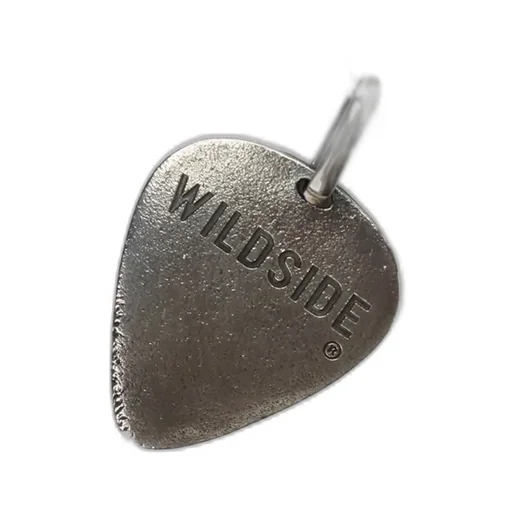 Heavy Pick Necklace