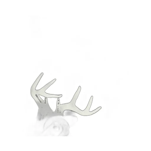 Wildside Deer Hunting Long Sleeve T-Shirt