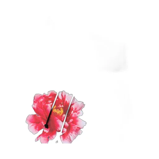 Inazuma Flower Pullover Hoodie