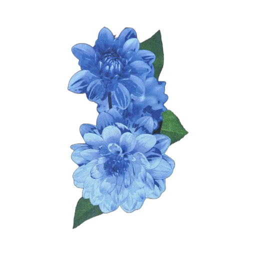 Blue Dahlia Long Sleeve T-Shirt