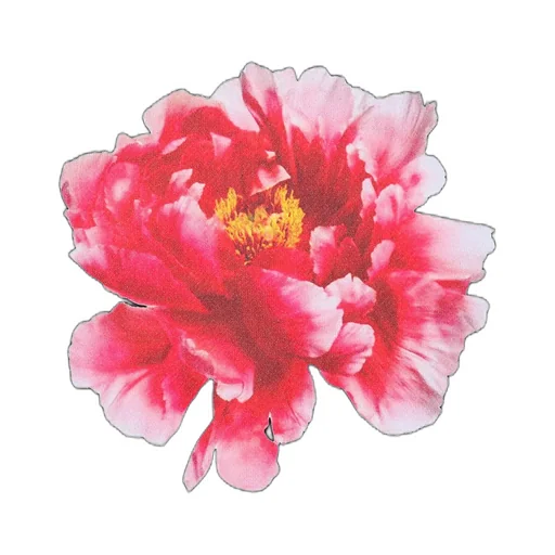 Inazuma Flower Pullover Hoodie