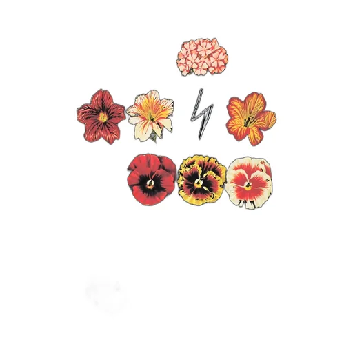 Inazuma Flowers T-Shirt A