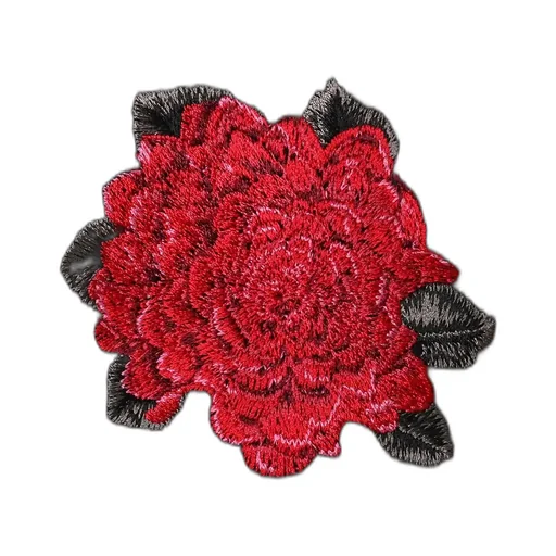 Embroidery Zip Hoodie