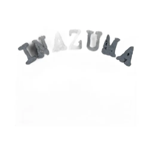 Inazuma Flowers T-Shirt B