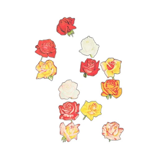 Inazuma Flowers T-Shirt B