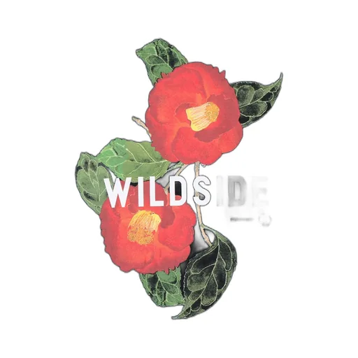 Camellia T-Shirt