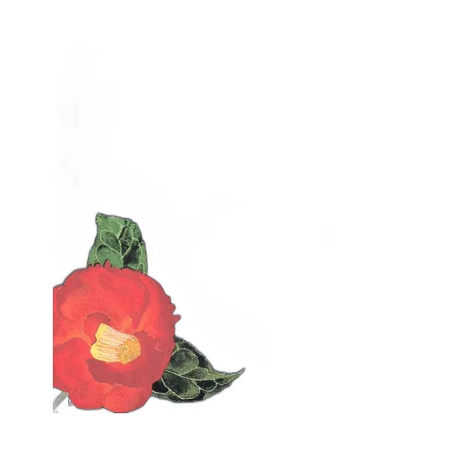 Camellia T-Shirt
