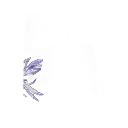 Blue Flower T-Shirt