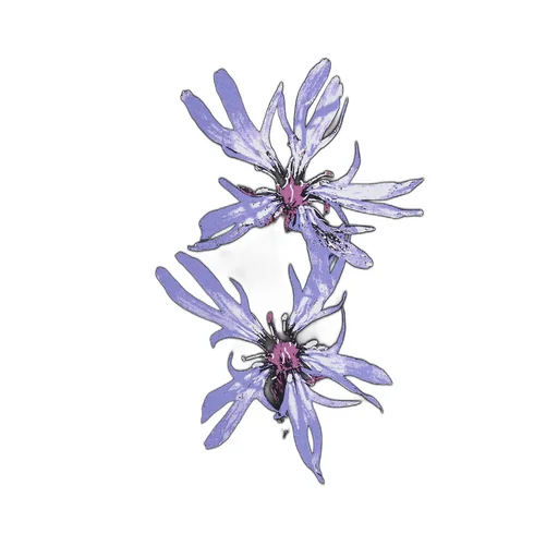 Blue Flower T-Shirt