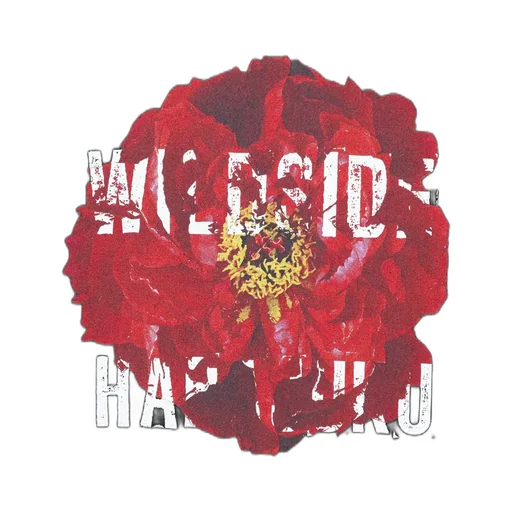 Harajuku Peony Ss T-Shirt