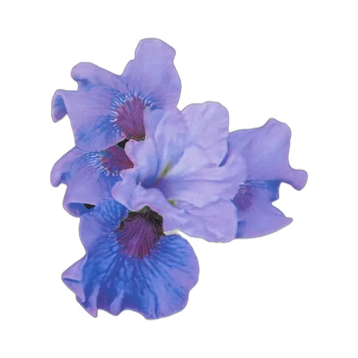 Purple Lily White T-Shirt