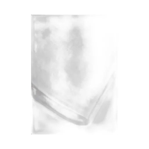 Swallow White T-Shirt