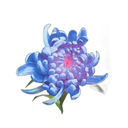 Blue Chrysanthemum White T-Shirt