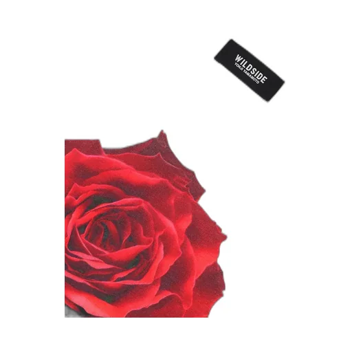 Red Rose White T-Shirt