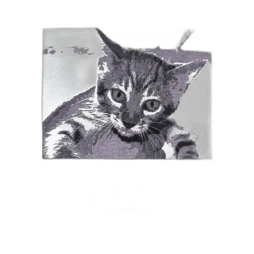 Chaton Perdu T-Shirt