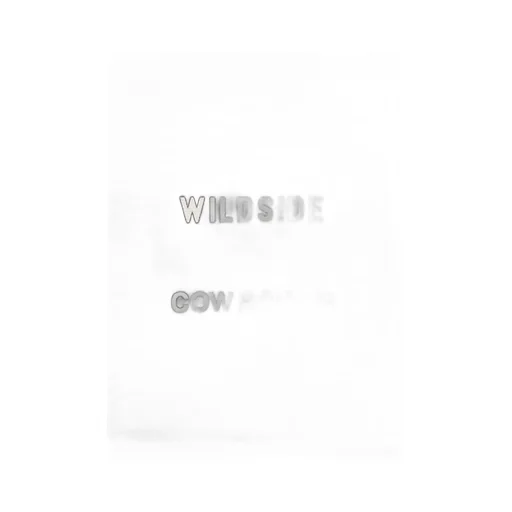 Wildside × Cow Books Container Tote Small