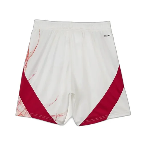 2024 Jfa X Y-3 Away Short