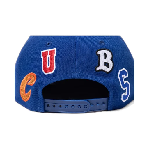 Ne_Cap/Cubs
