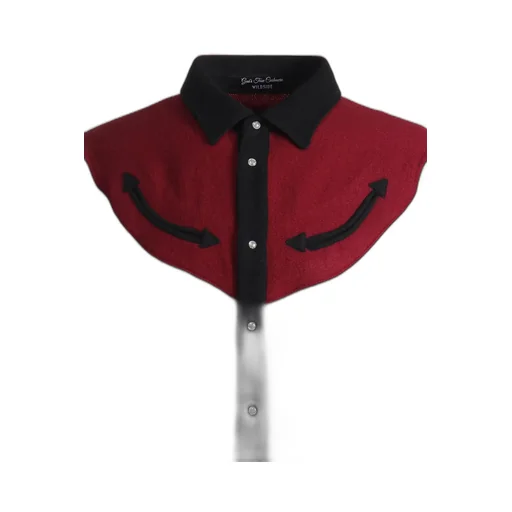 Wildside × God’S True Cashmere Western Shirt