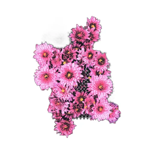 Wildside × Chivas Regal Pink Flower T-Shirt